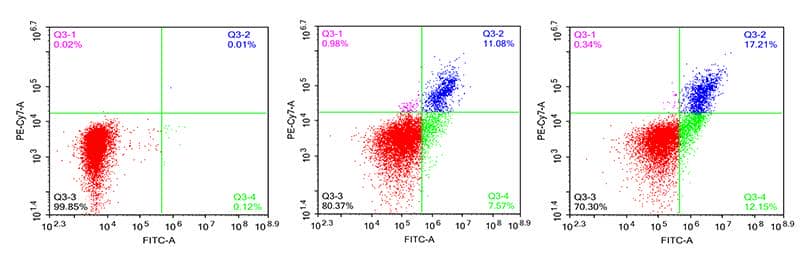 細胞凋亡檢測服務(wù)