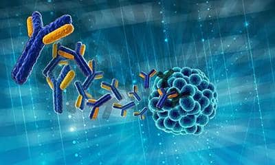 抗體人源化-一種能夠有效提升抗體效果的技術(shù)