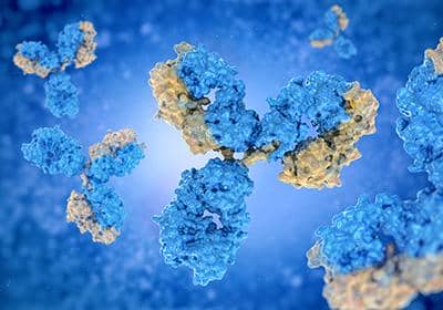 重組蛋白表達中常見的一些問題及解決辦法