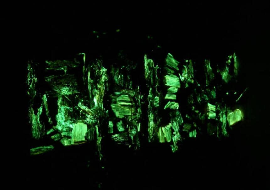 雙熒光素酶報告基因系統——基因分析便捷工具