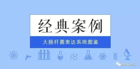 經典案例|普健大腸桿菌表達系統