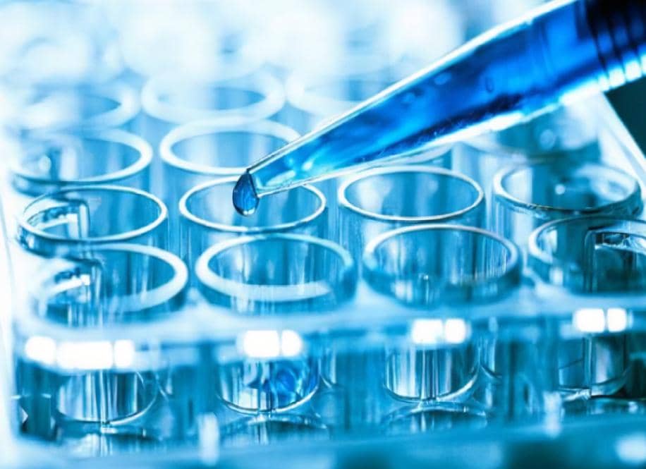 三維細(xì)胞培養(yǎng)技術(shù)突破之卵巢癌原代細(xì)胞