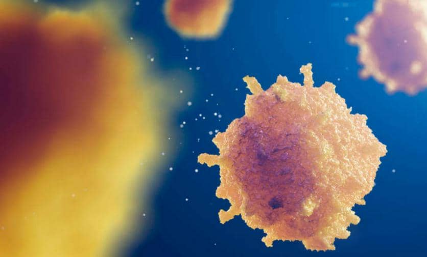 【高分文獻(xiàn)解讀第一期】CD24說(shuō)：“Don't eat me！” 腫瘤免疫治療該怎么辦？