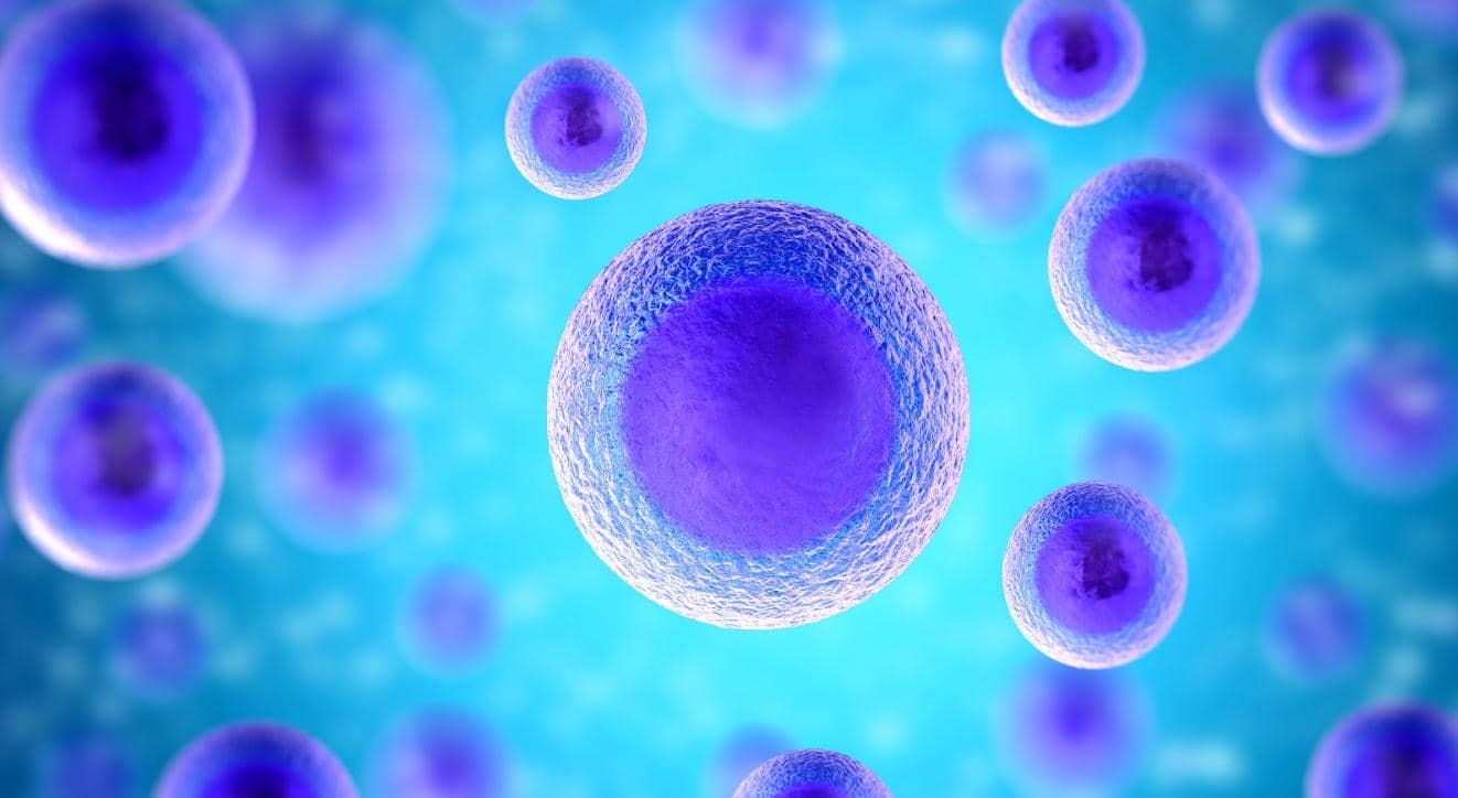 【第二期】流式小課堂——流式對(duì)照選擇