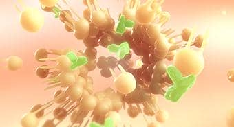 什么是酵母表達(dá)系統(tǒng)?用它表達(dá)蛋白的優(yōu)勢和不足?