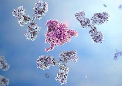 重組抗體-未來抗體藥物制備的主力軍