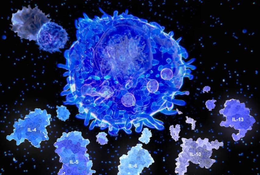 PD-1抗體被吃掉又怎樣，自有PNGaseF來救它