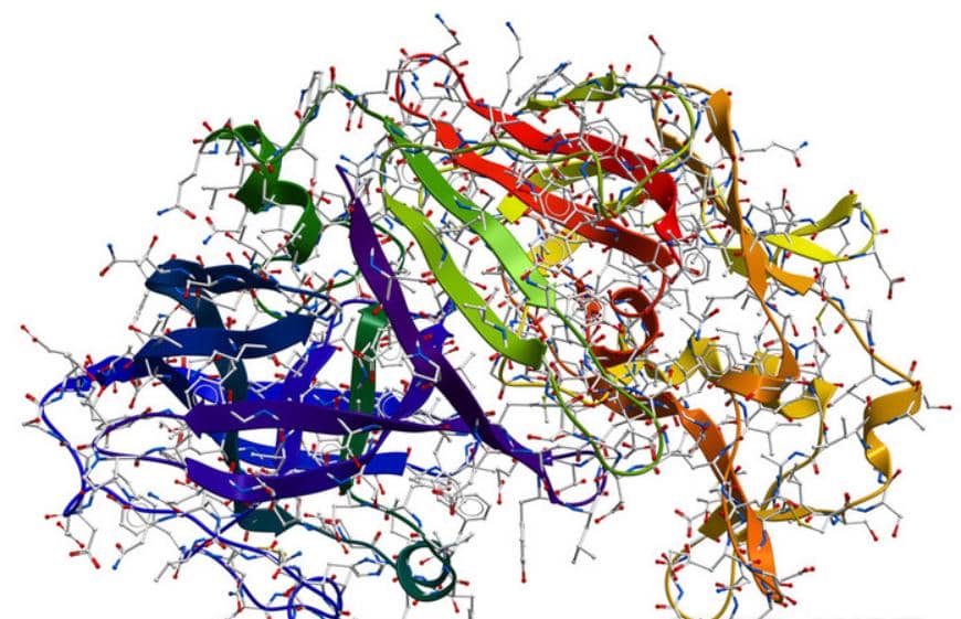 蛋白純不純？選對(duì)方法很重要