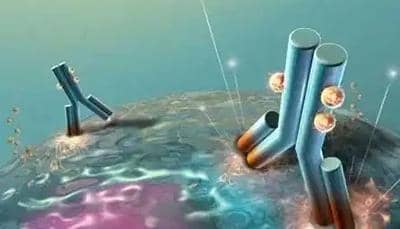 為什么納米抗體在醫藥制備行業中使用越來越廣泛?