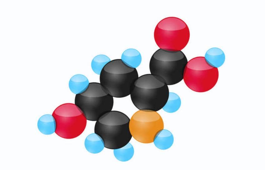 搞定蛋白表達那些事，只需弄清這幾點