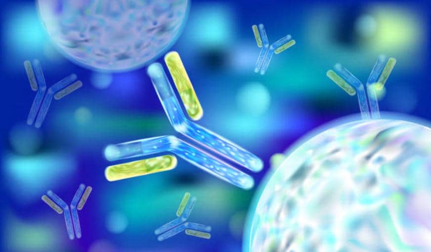 一個完整的抗體發現平臺需要用到哪些技術？