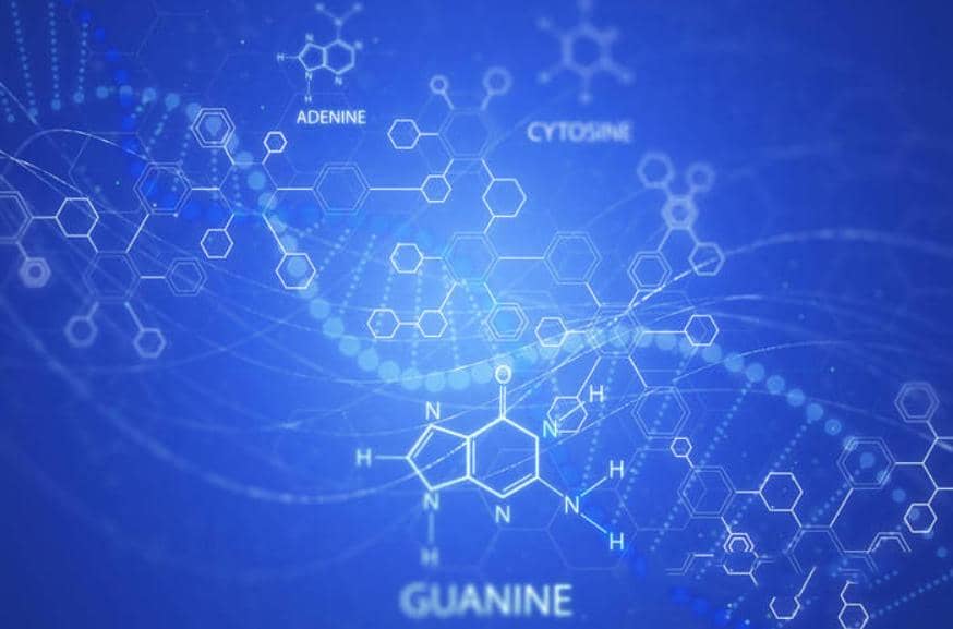 喜訊：2022年武漢國(guó)家生物產(chǎn)業(yè)基地公共服務(wù)平臺(tái)復(fù)核通過(guò)