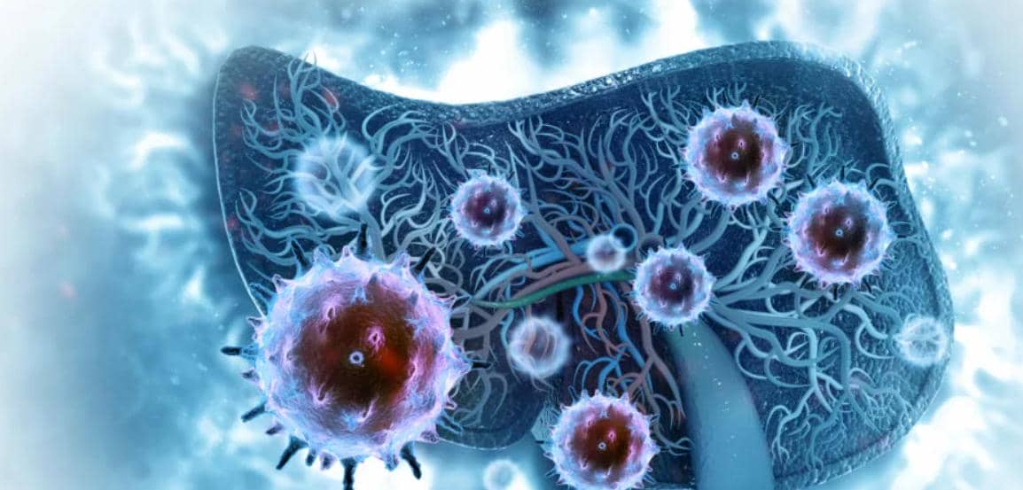 【穩定細胞株構建】11個注意事項幫你搞定細胞轉染