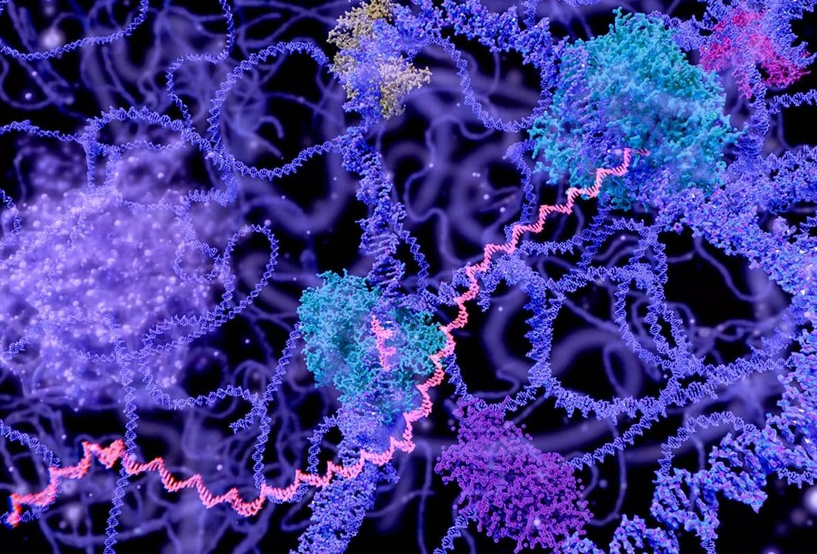 為什么重組蛋白制備過程中會(huì)出現(xiàn)沉淀的現(xiàn)象?如何避免?