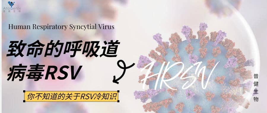 數(shù)十年研發(fā)幾經(jīng)折戟，首款成熟的RSV疫苗要來了嗎？