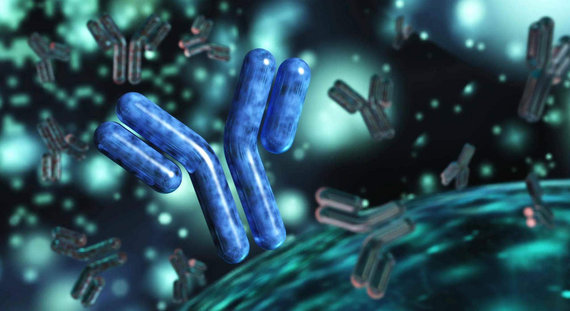 單克隆抗體技術(shù)之B細胞單克隆抗體在癌癥領(lǐng)域中的制備及應用分析