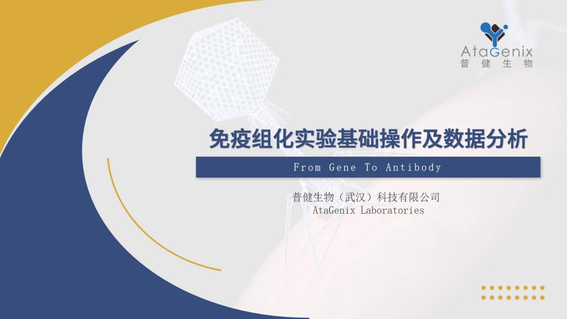 【基礎實驗一篇搞定】免疫組化&mdash;&mdash;IHC實驗基礎操作