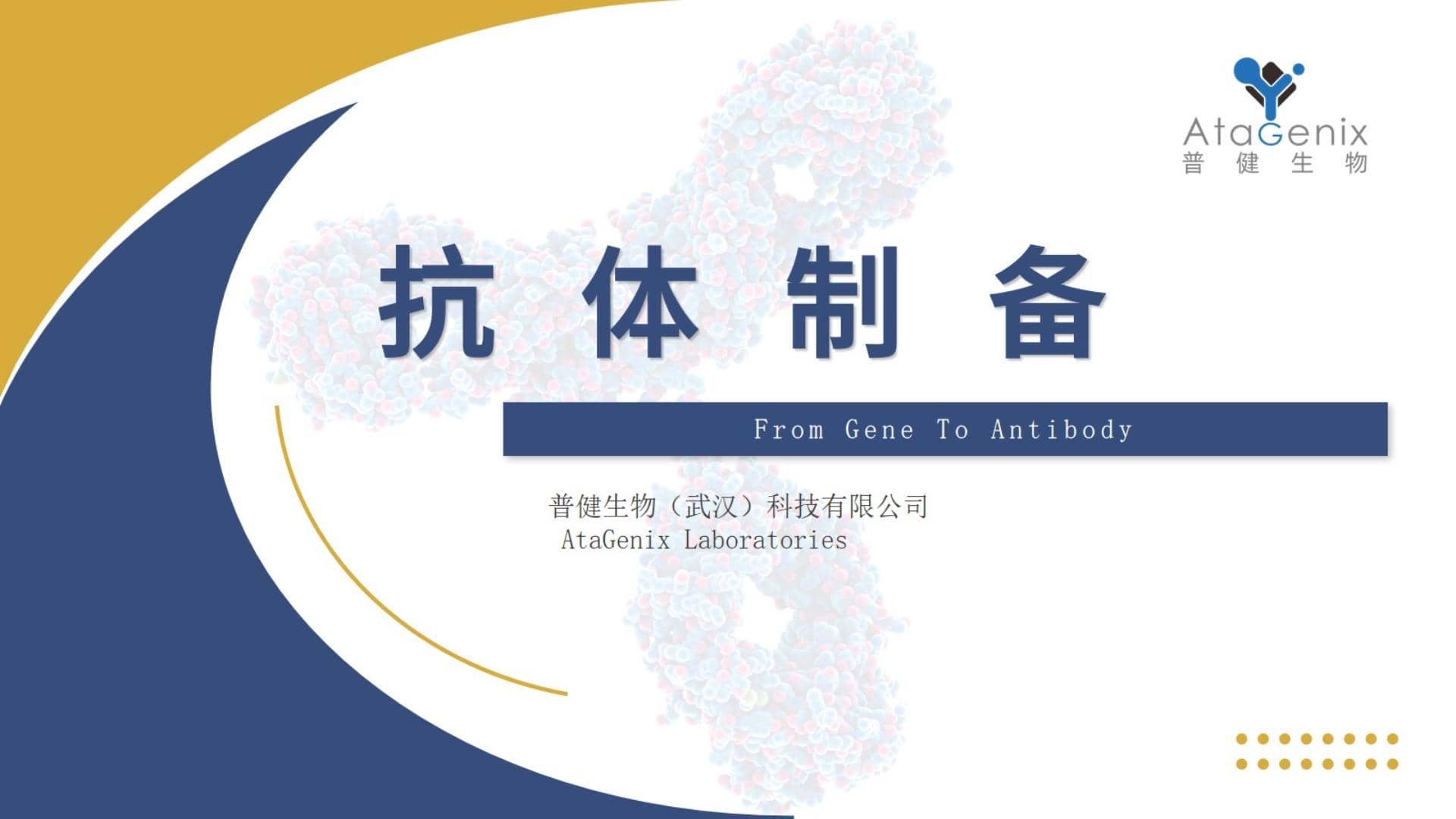 抗體制備&mdash;&mdash;單克隆抗體VS多克隆抗體