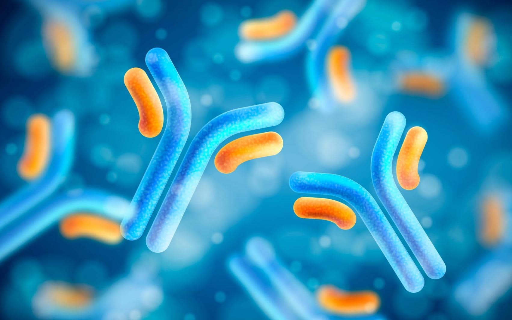 從雜交瘤技術到單B細胞技術：單克隆抗體技術發展史