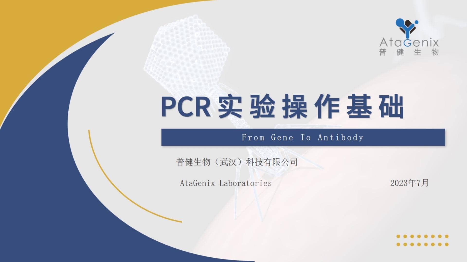 基礎試驗操作篇&mdash;&mdash;PCR實驗