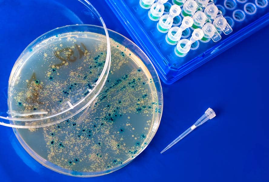 加快藥物發(fā)現(xiàn)過程的抗體庫