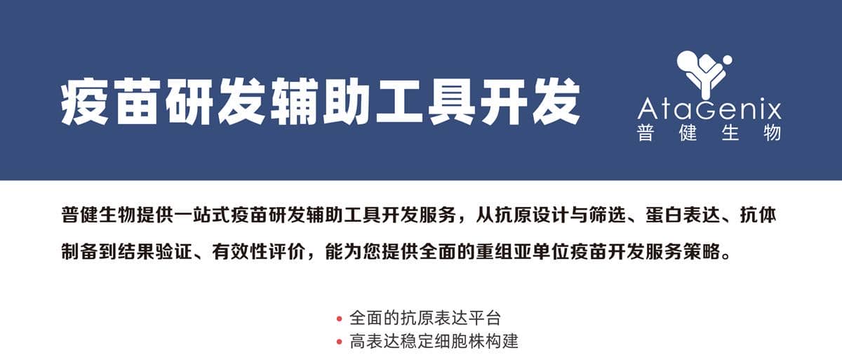 疫苗研發輔助工具開發