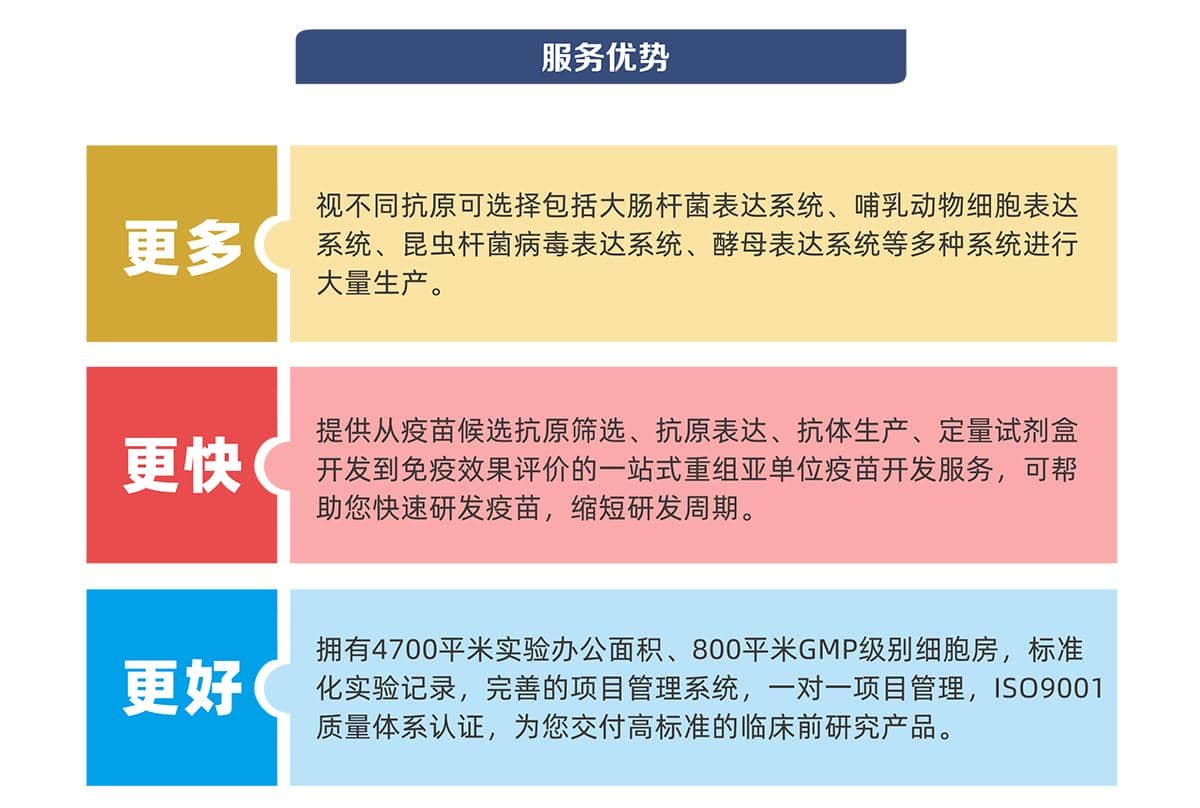 疫苗研發輔助工具開發