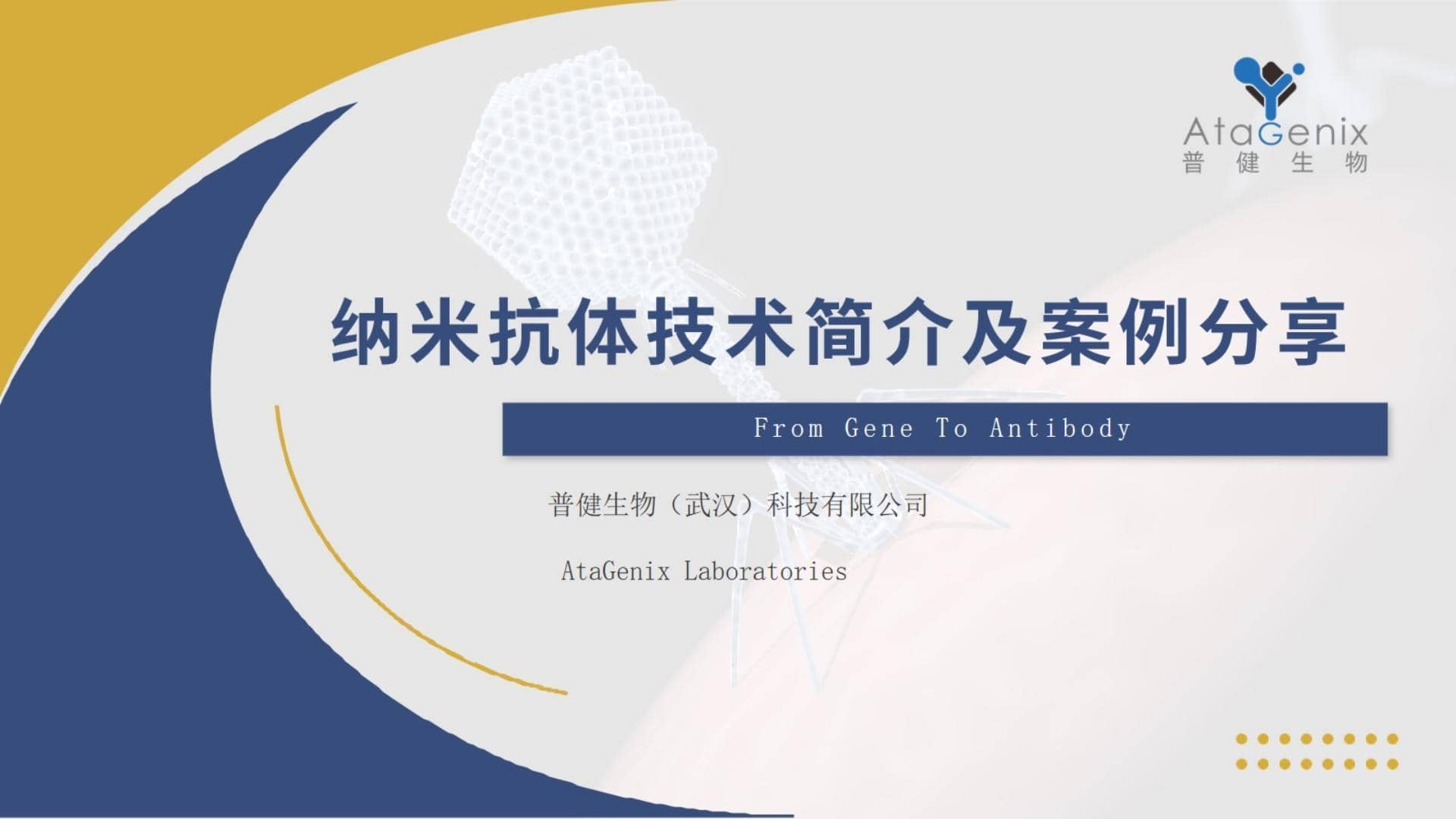 納米抗體制備&mdash;&mdash;納米抗體制備技術及相關案例分享