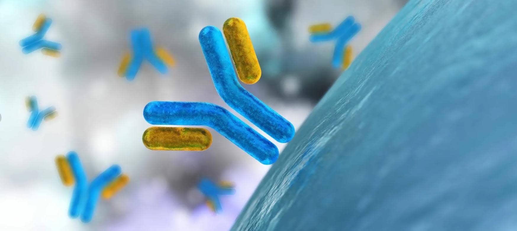 納米抗體在小分子化合物檢測的應用