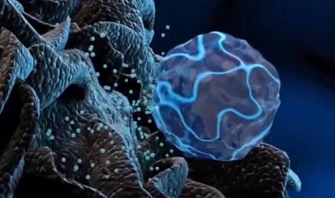 雙特異性納米抗體在腫瘤領域的研究進展