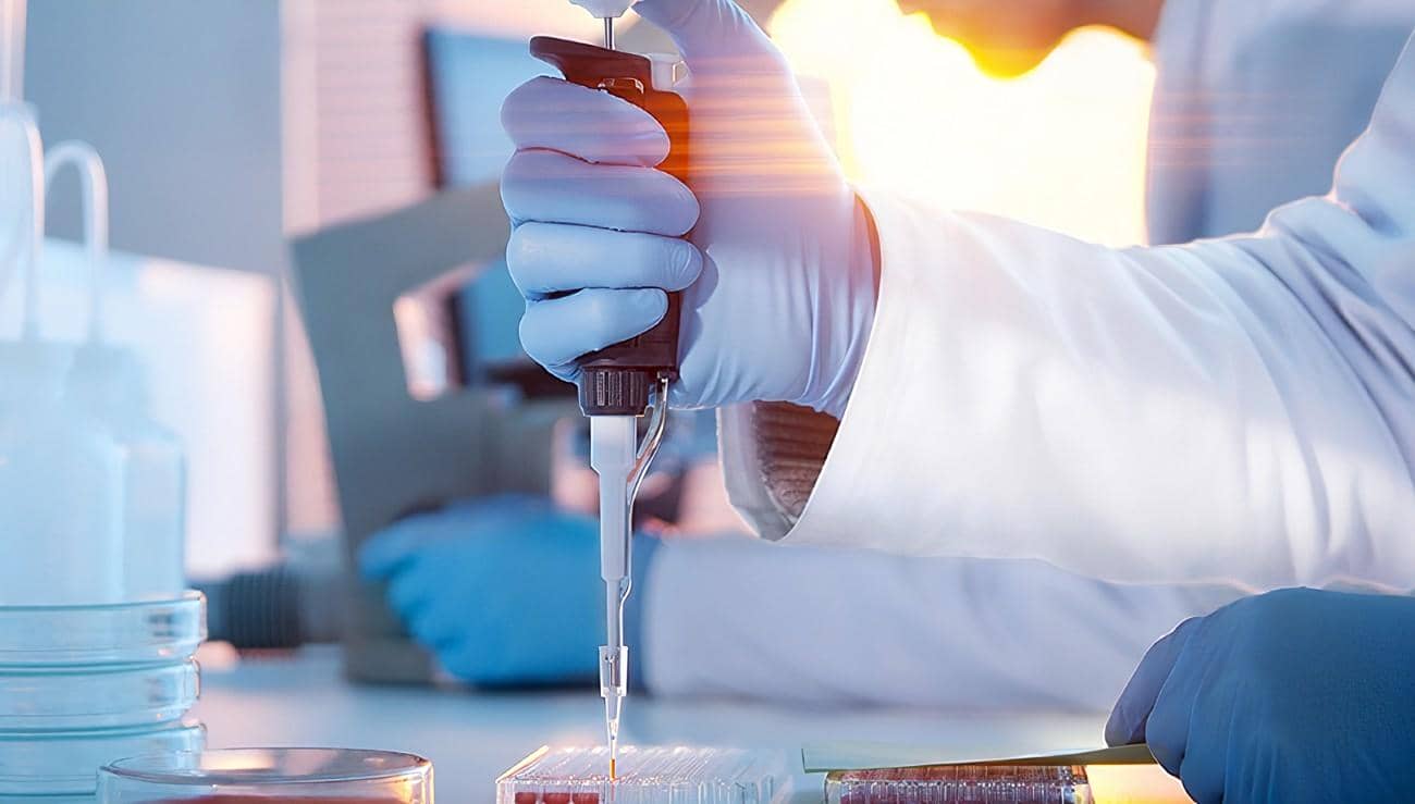 利用病原學技術快速鑒定非洲豬瘟病毒