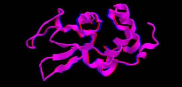 利用畢赤酵母表達系統(tǒng)進行BMP4重組蛋白表達與純化