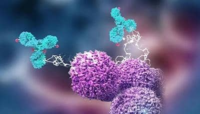 關(guān)于蛋白純化，你了解多少?