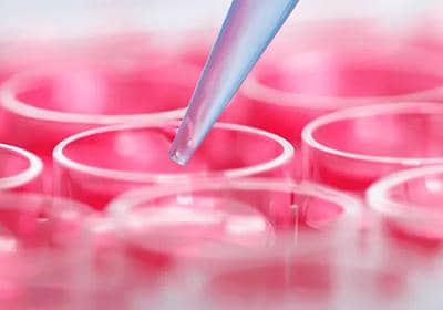 穩(wěn)定細胞株構建的常用流程及其優(yōu)勢盤點