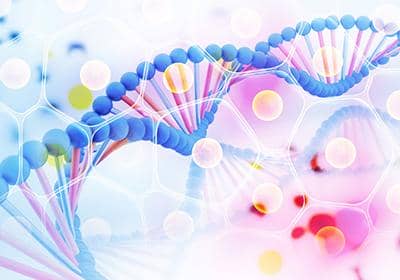 如何選擇優質的雜交瘤測序公司