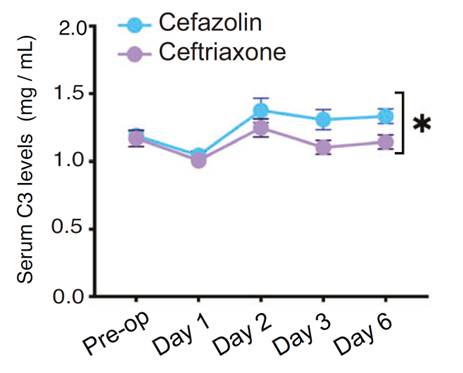 Ceftriaxone抑制C3上調、維持PF4水平，發揮認知保護作用