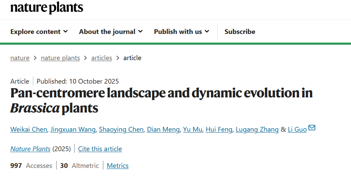 Pancentromere landscape and dynamic evolution inBrassica plants
