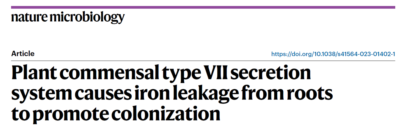 YukE 抗體驗(yàn)證