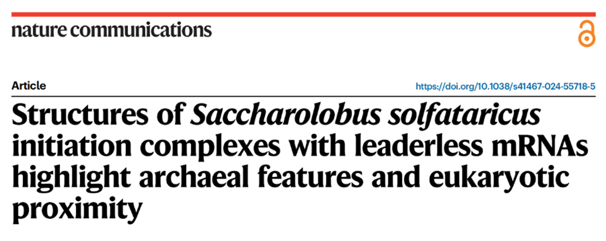 古菌翻譯復(fù)合物抗體